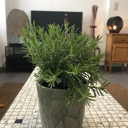 아파트 L'escapade Urbaine - Montignies-sur-sambre *